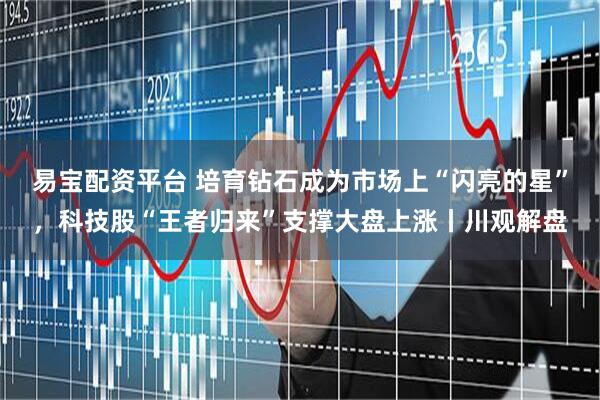 易宝配资平台 培育钻石成为市场上“闪亮的星”，科技股“王者归来”支撑大盘上涨丨川观解盘